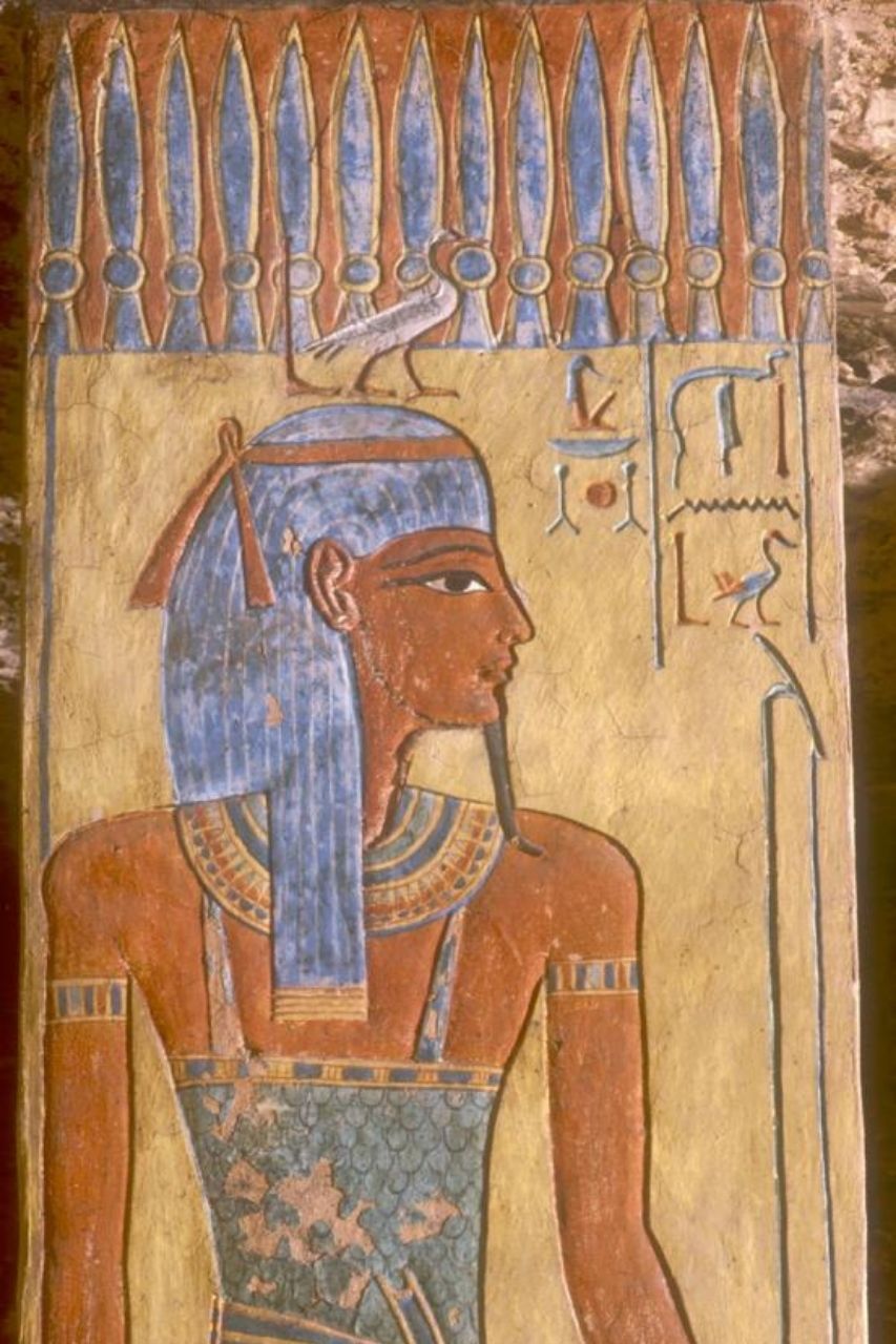 Geb met gans op zijn hoofd