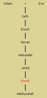 Henoch & de Wachters