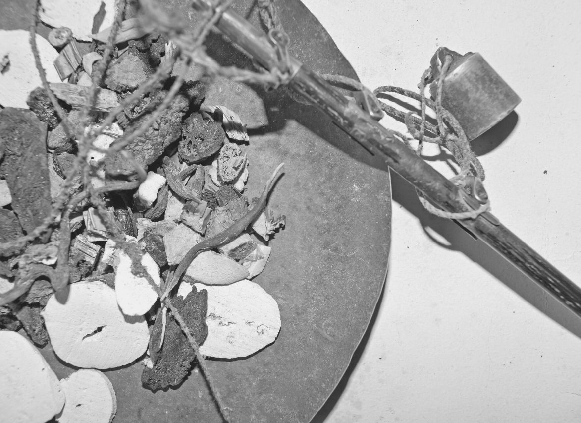 Oud-Egyptische kruidengeneeskunde