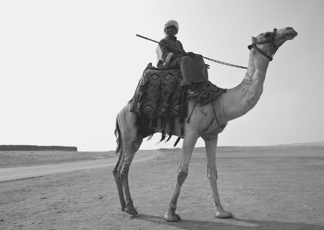 Bedoeïen op een kameel