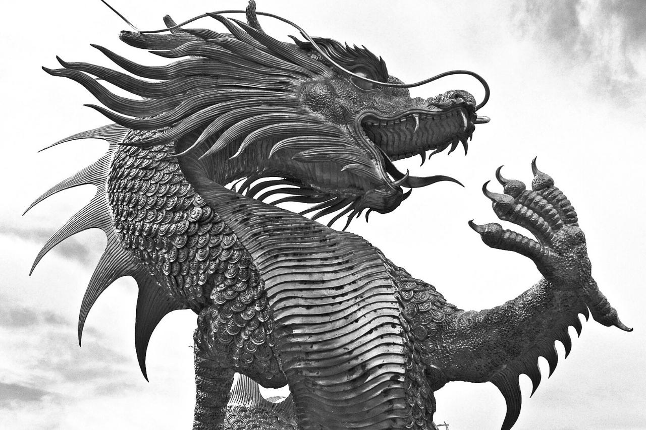 Draak met vacht: Het verhaal van een vliegende hagedis