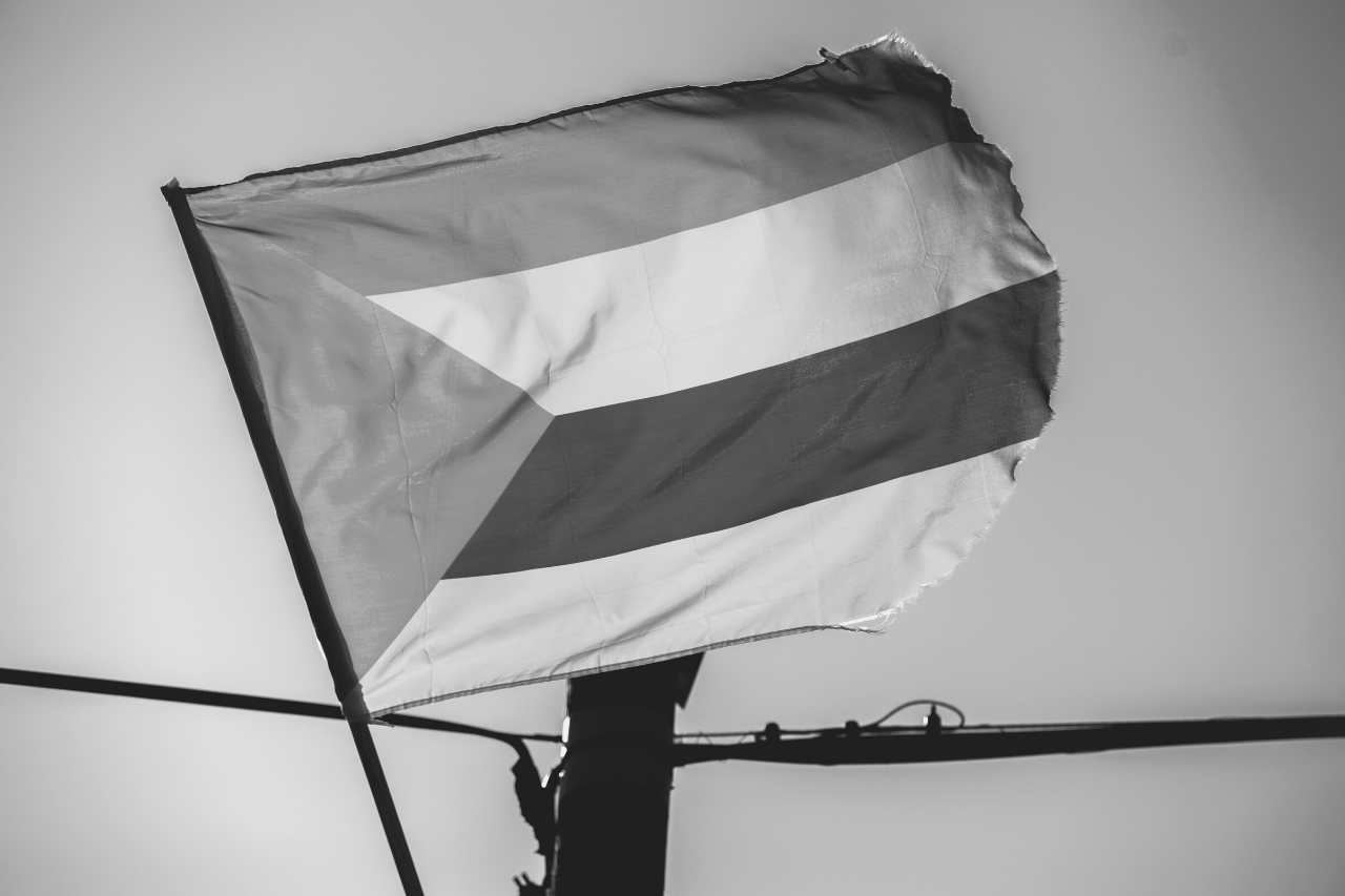 De Druzen: De geheimzinnige Arabieren van Libanon, Syrië en Israël