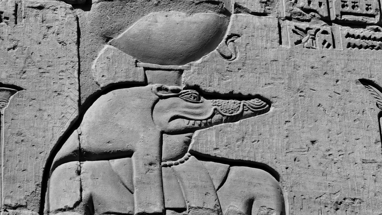 Sobek: De machtige half-dierlijke beschermeling van Osiris en Isis