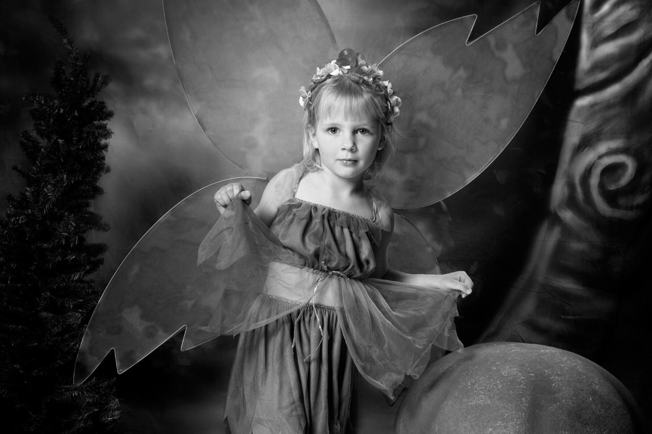 Uiterlijk van feeën