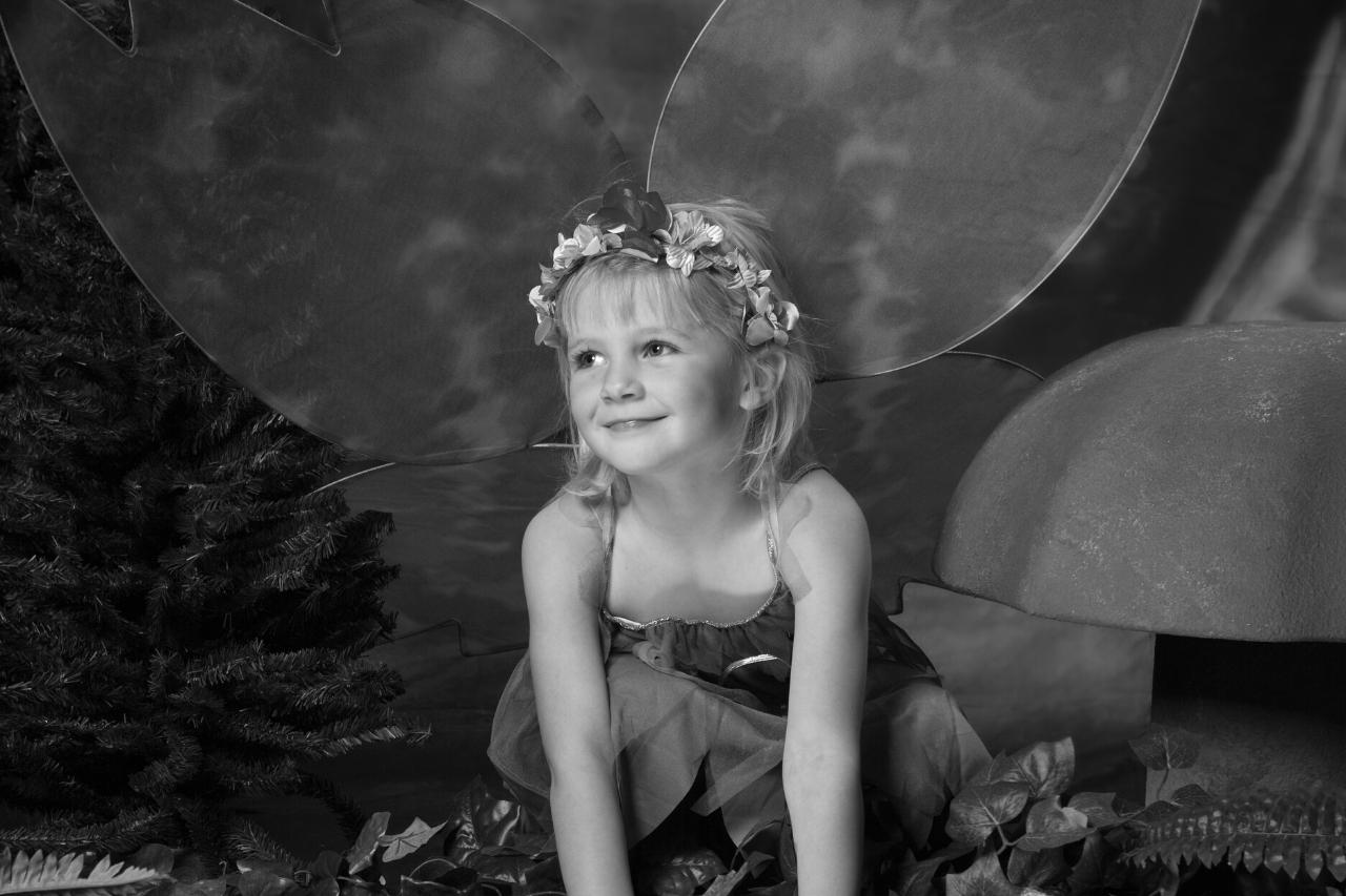 Hoe feeën eruitzien