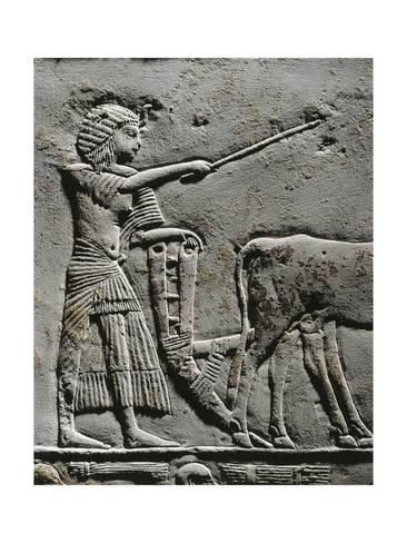 Horemheb die het land ploegt in de velden van Iaru reliëf uit de tombe van Horemheb