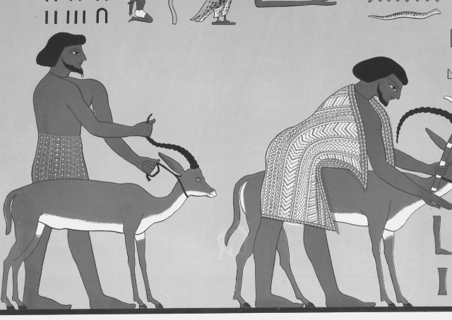 Afbeelding van boeren in het oude Egypte