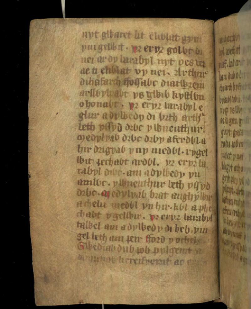 Jesus College MS 20, folio 1v, met de eerste pagina van het gedicht Ymddiddan Arthur a’r Eryr, of Arthur en de Adelaar