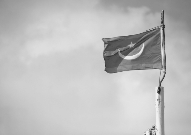 Vlag van Mauritanië