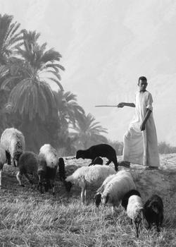 Herder in het oude Egypte