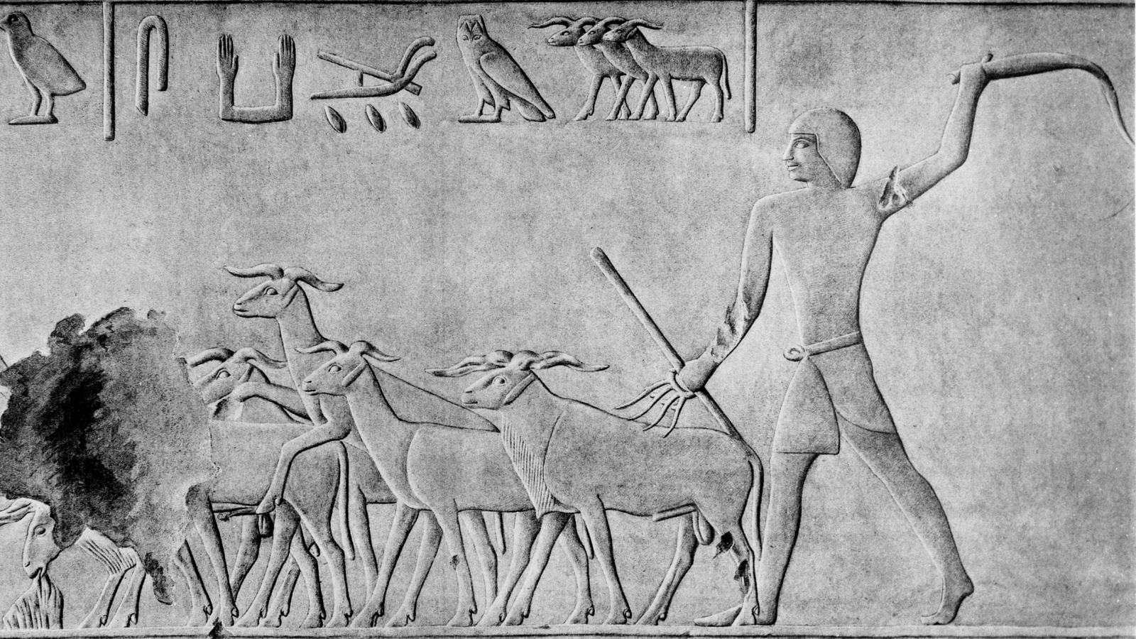 Waarom waren herders een gruwel voor Egypte? Vier meeslepende theorieën