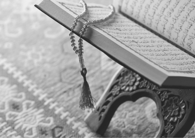 Het boek van de islam