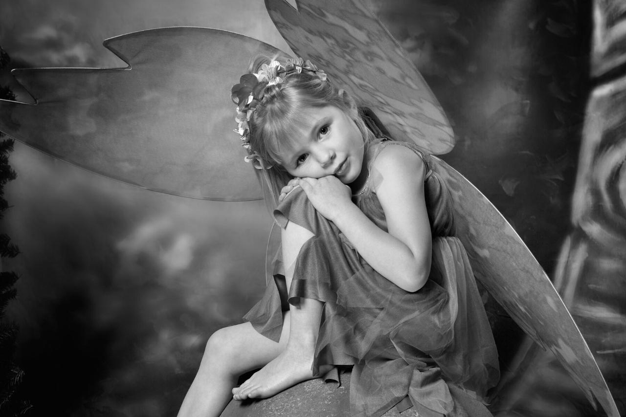 Hoe zien feeën eruit